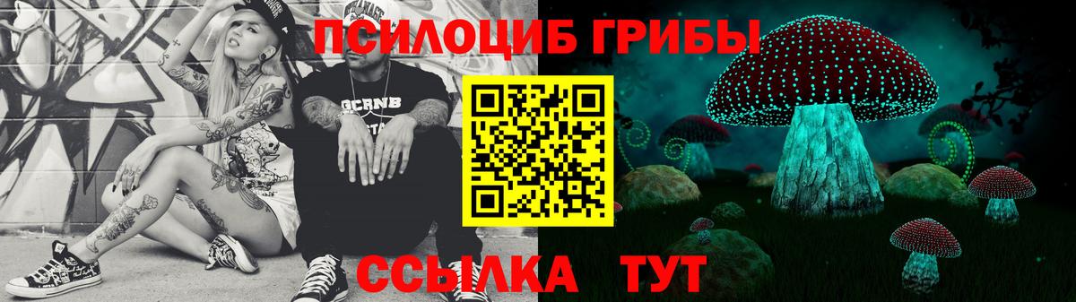 Псилоцибиновые грибы прущие грибы Вологда