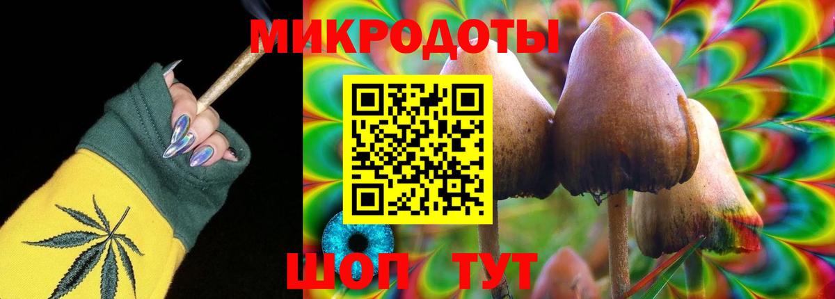 Вологда  Псилоцибиновые грибы ЛСД  Псилоцибиновые грибы MAGIC MUSHROOMS  Вход с VPN 