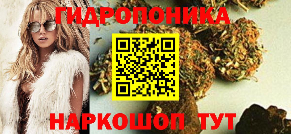 Каннабис сатива Вологда